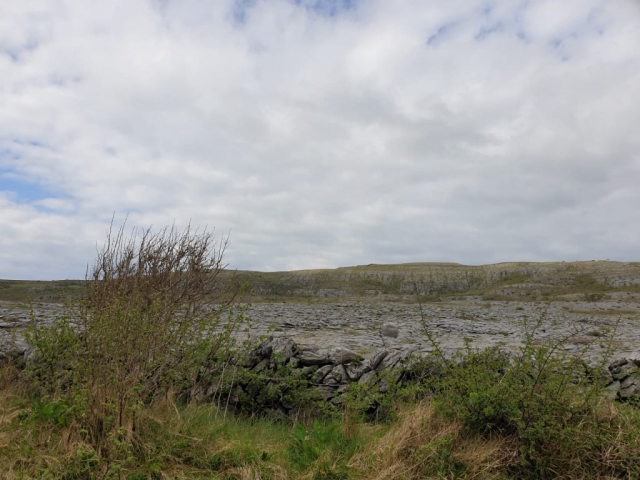 Nigel Allen VW - Landscape of Ireland - Cape to cape